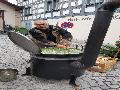 2017 Sterntag_006.jpg