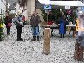 Sterntag2011007.jpg